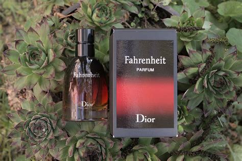 dior fahrenheit le parfum review.